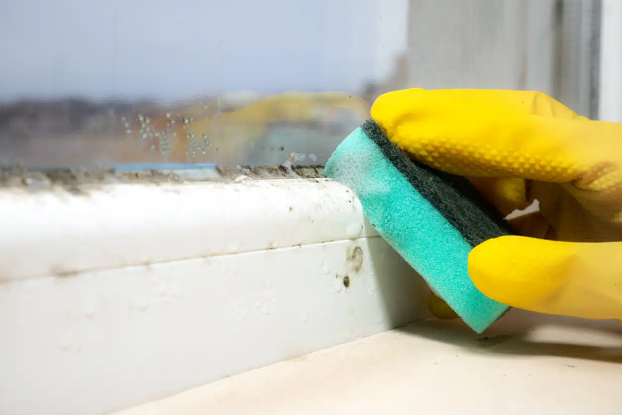 The Health Benefits of Mold & Asbestos Removal