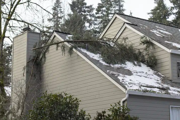 How to Manage Winter Storm Damage